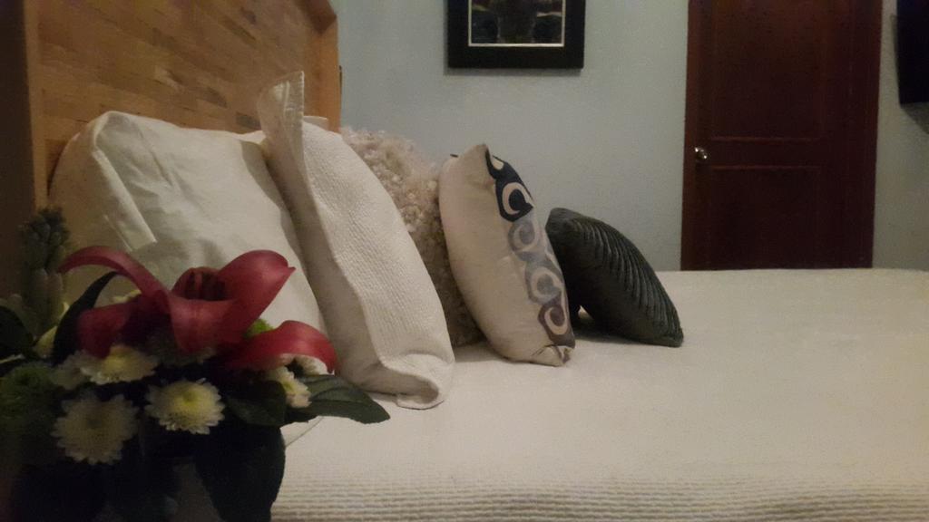 La Querencia Df Bed & Breakfast Mexico City Exterior photo