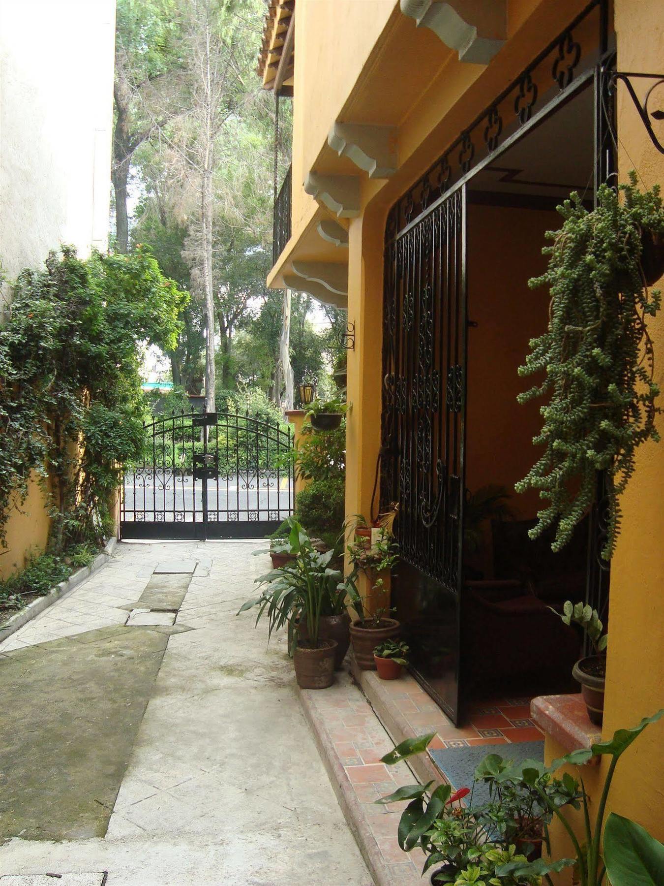 La Querencia Df Bed & Breakfast Mexico City Exterior photo
